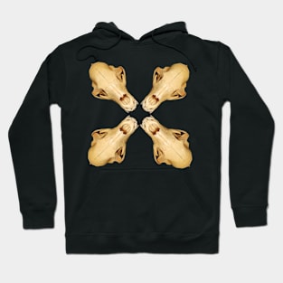 Beary Skully Hoodie